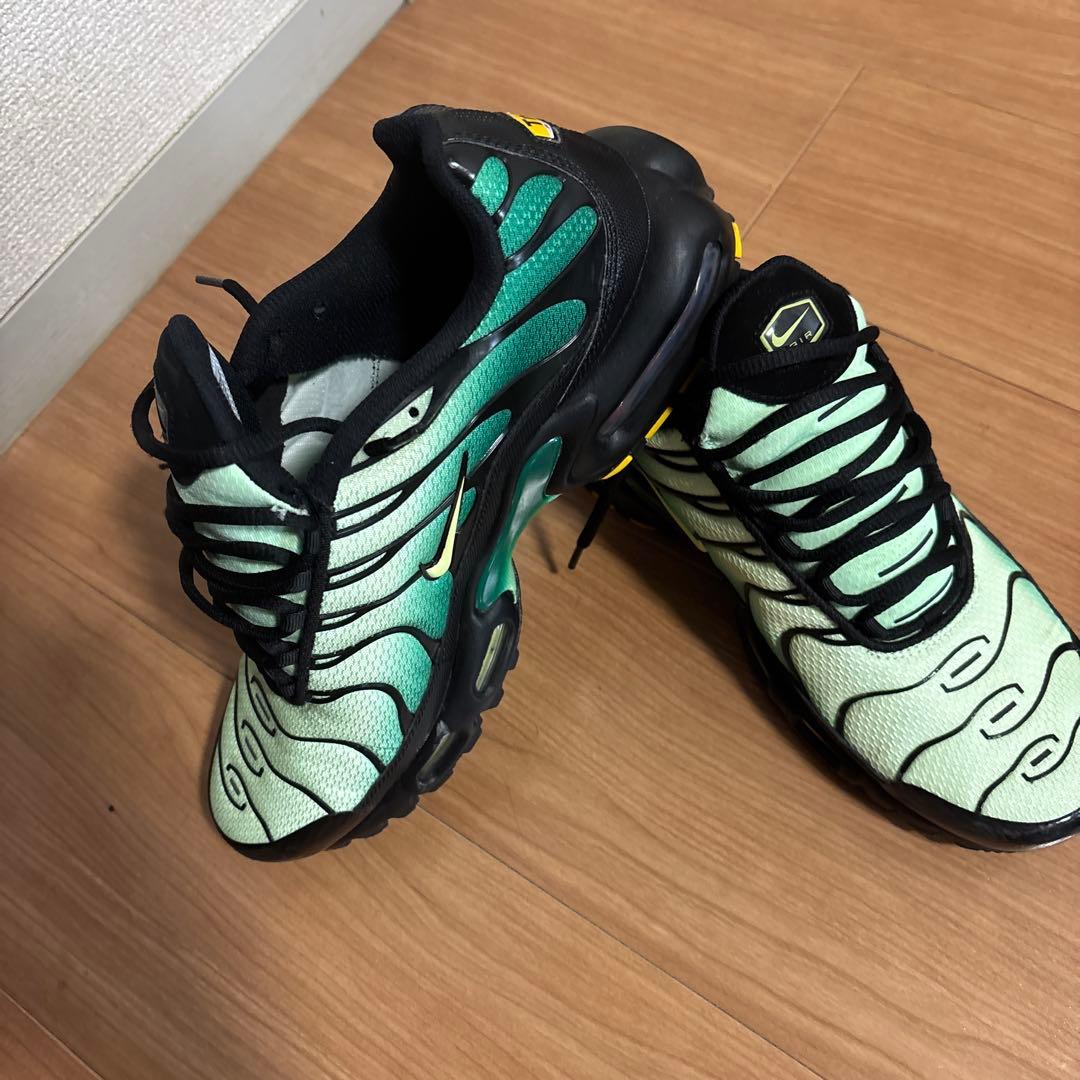 ナイキ エアマックス プラス グリーン 28cm