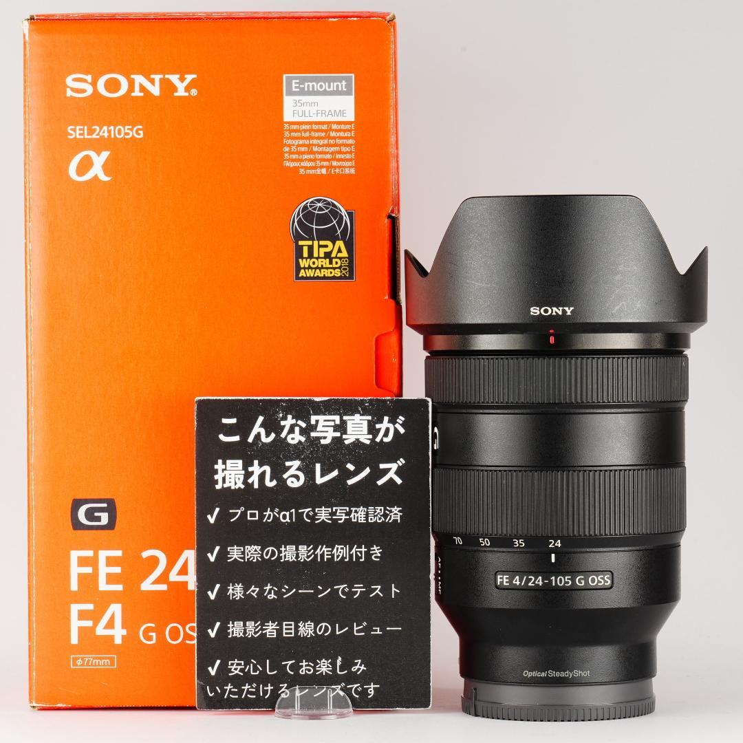 プロが選ぶ旅行最適レンズ SONY SEL24105G 美品 万能レンズ 579