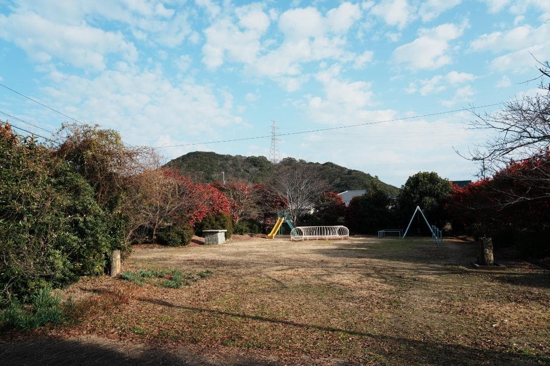 プロが選ぶ旅行最適レンズ SONY SEL24105G 美品 万能レンズ 579