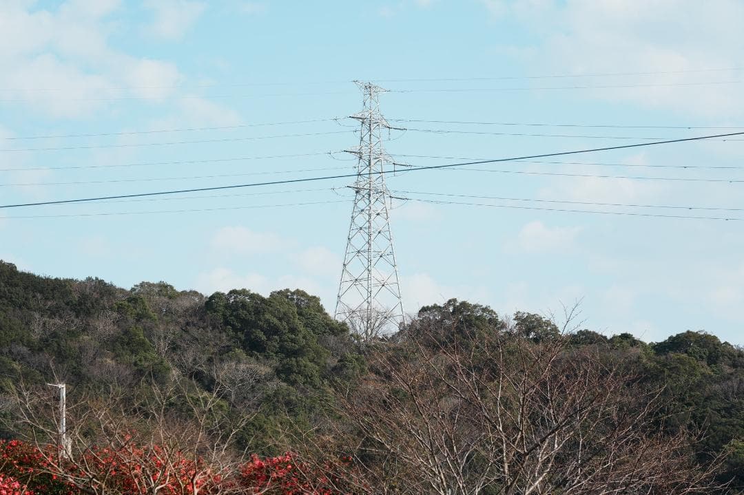 プロが選ぶ旅行最適レンズ SONY SEL24105G 美品 万能レンズ 579