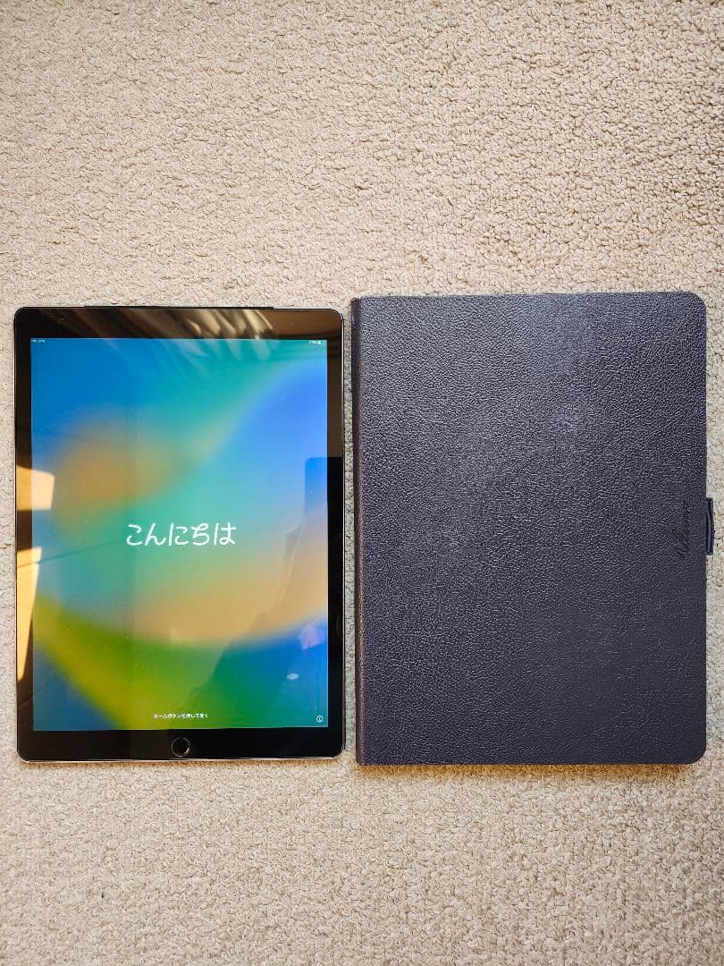 iPad Pro 12.9 第1世代 Wi-Fi＋Cellular 128㎇