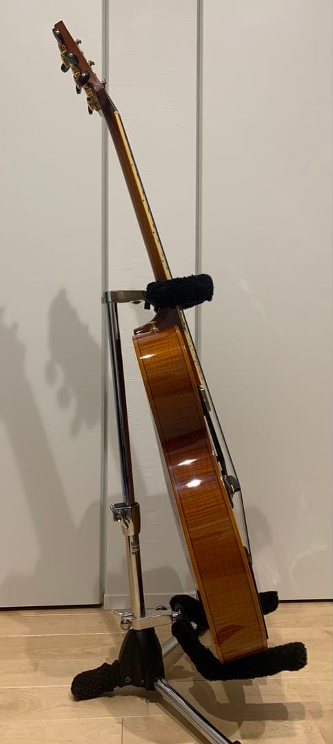 Sadowsky Jim Hall Model 初期型