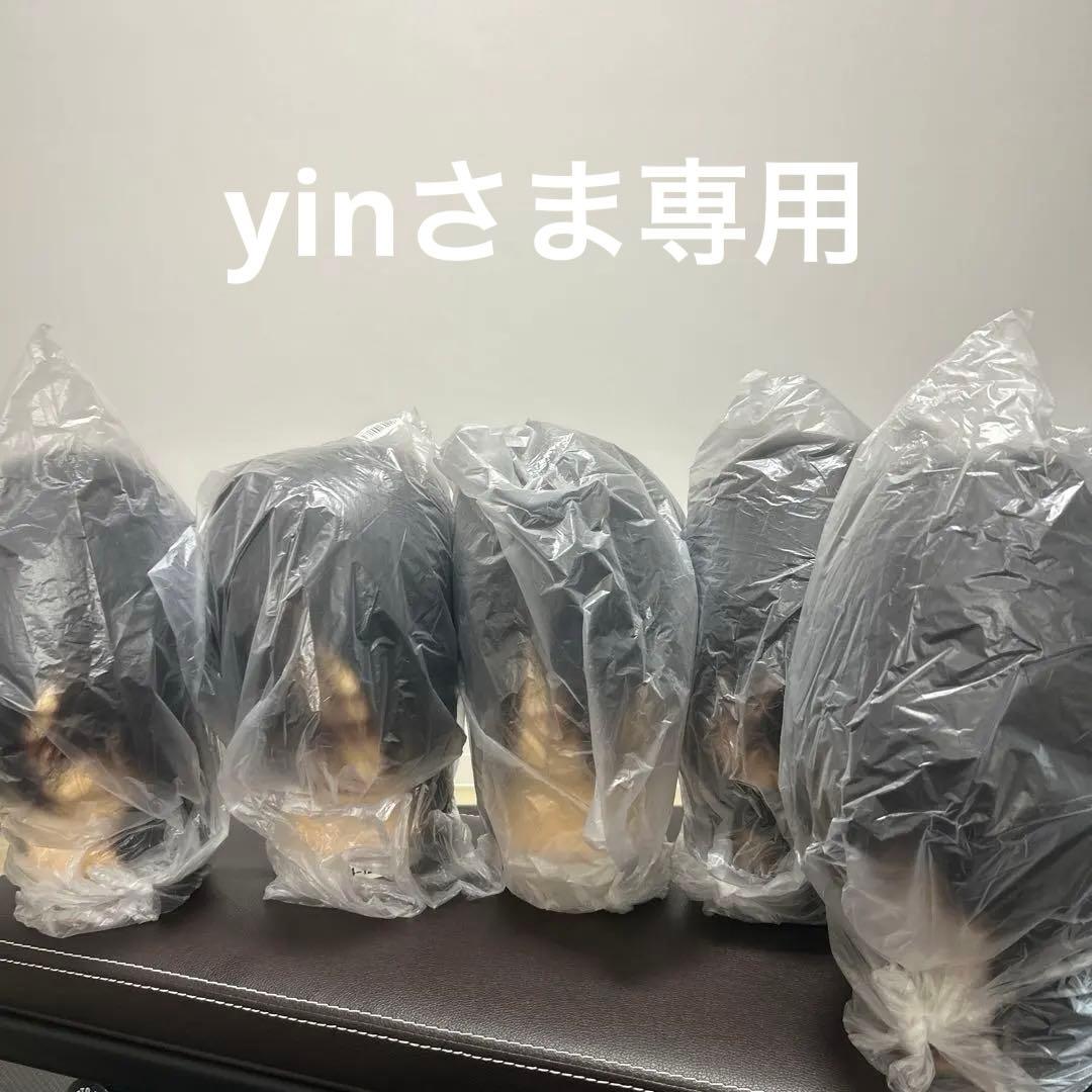 美容師国家試験　実技試験用カットヴィッグ　ユーロプレステージ5体セット