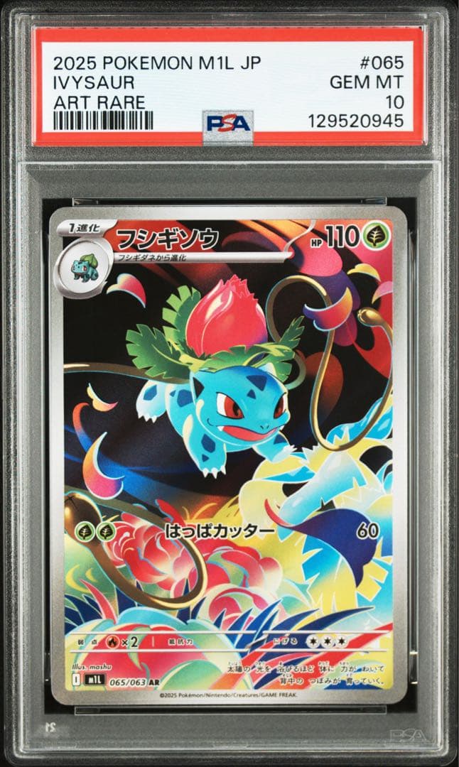 PSA10 フシギソウAR 3枚セット