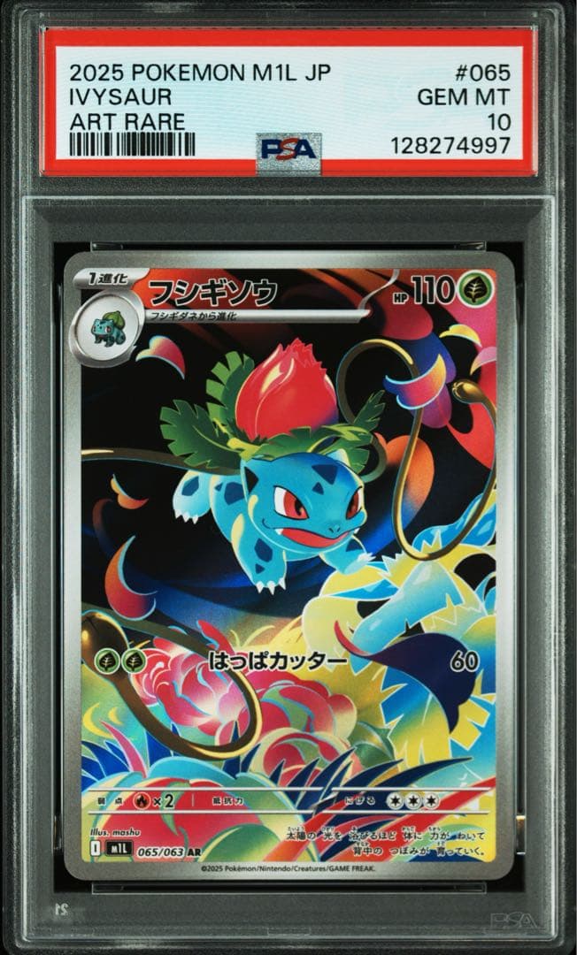 PSA10 フシギソウAR 3枚セット