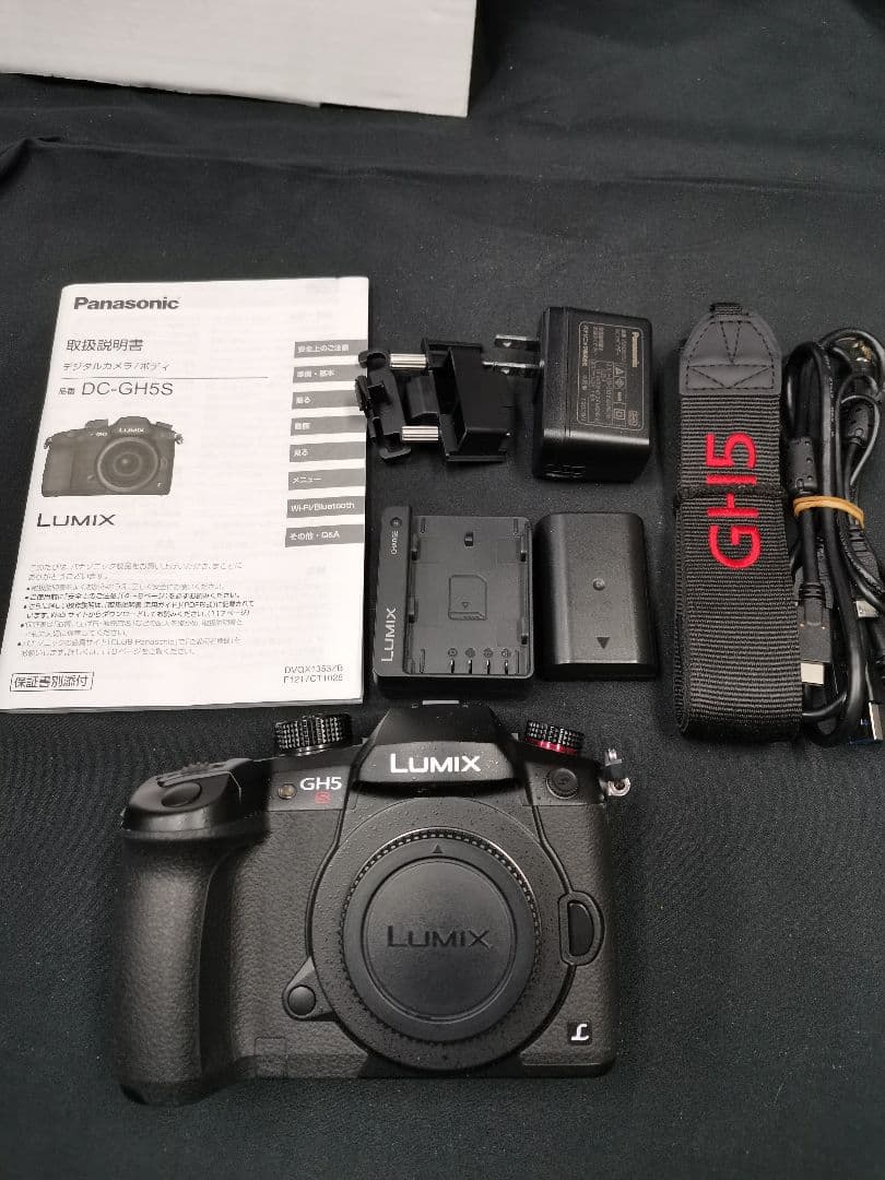 LUMIX DC-GH5S　中古品