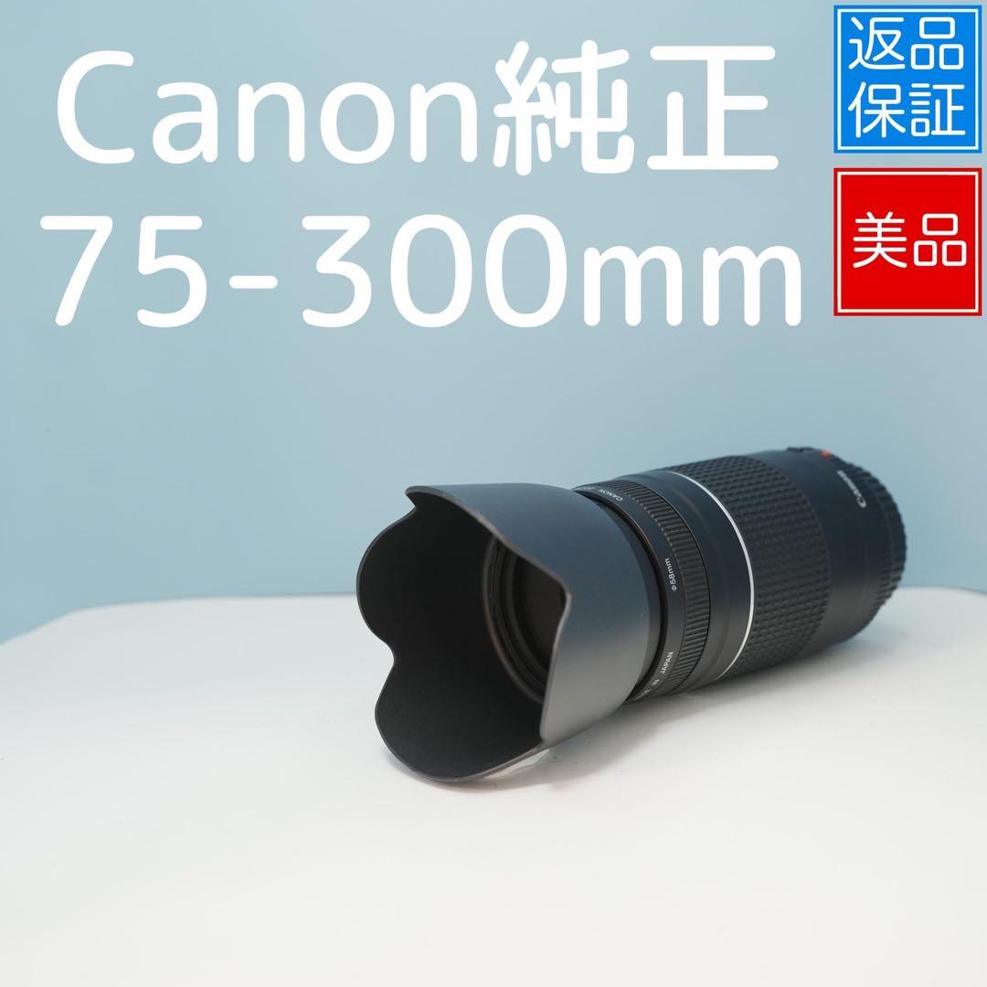 Canon純正 75-300mm 望遠レンズ 美品 a3871