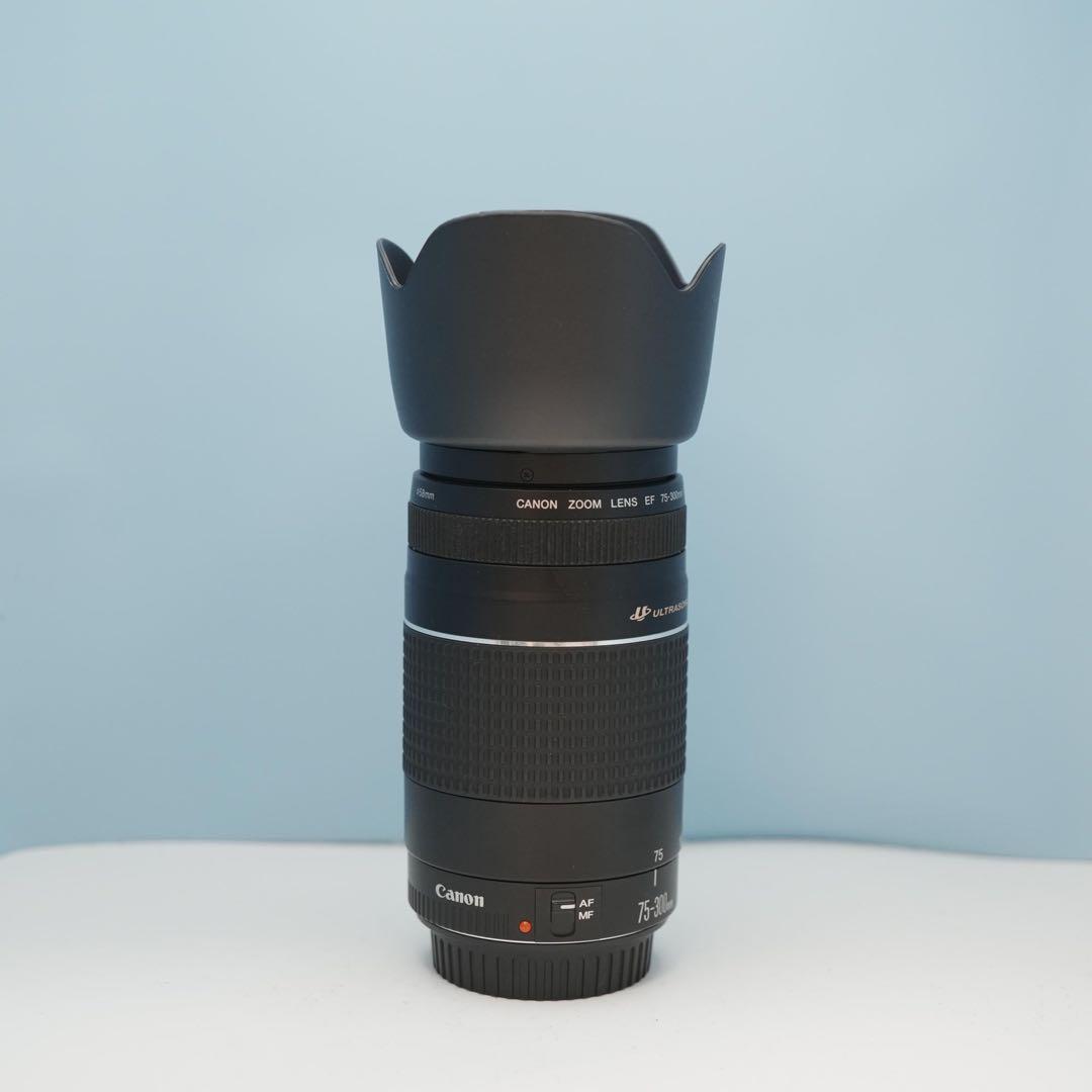 Canon純正 75-300mm 望遠レンズ 美品 a3871