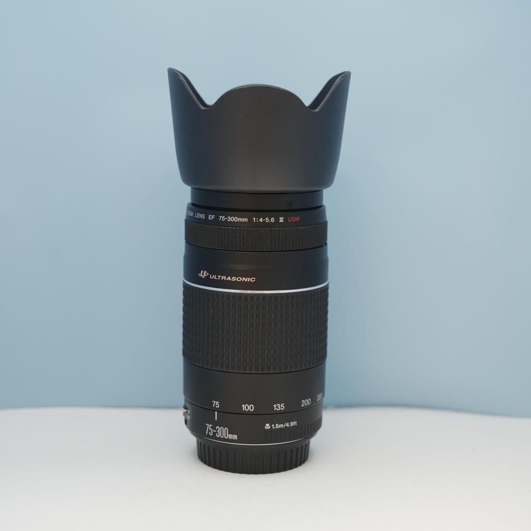 Canon純正 75-300mm 望遠レンズ 美品 a3871