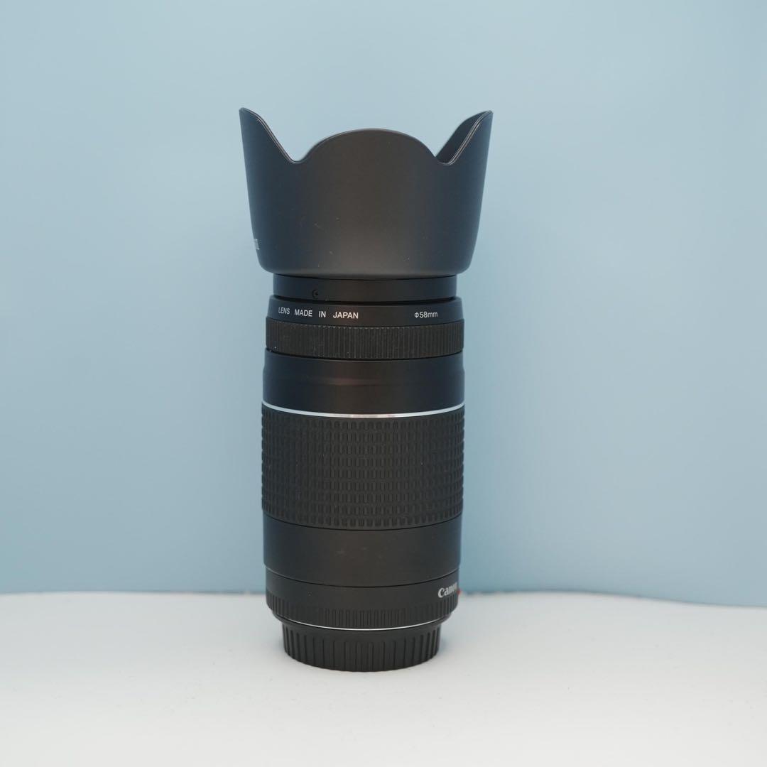 Canon純正 75-300mm 望遠レンズ 美品 a3871