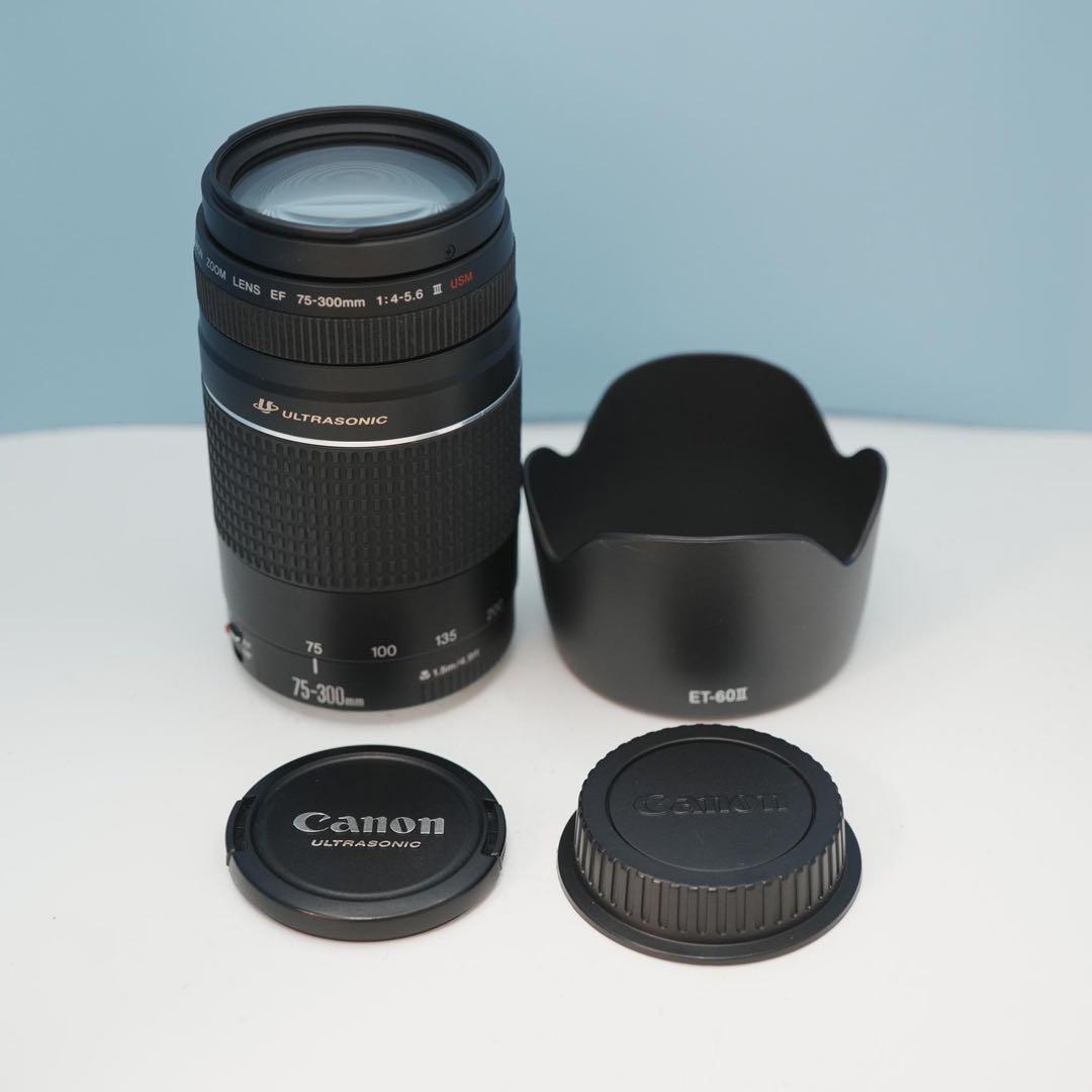 Canon純正 75-300mm 望遠レンズ 美品 a3871