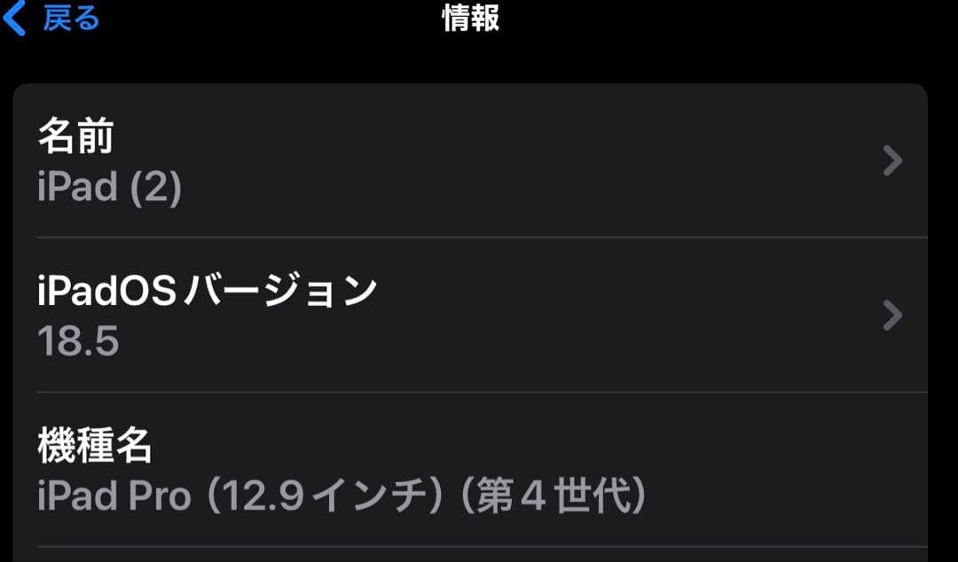 iPad Pro 12.9インチ　第4世代　apple pencil 第2世代