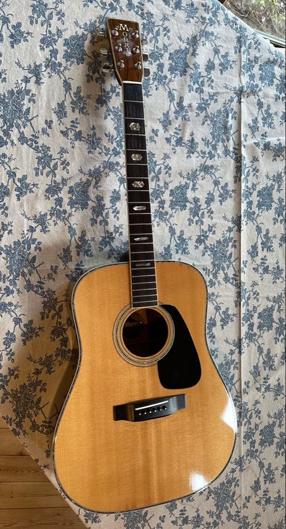 値下げ！極上品！Morris TF-801 アコースティックギター