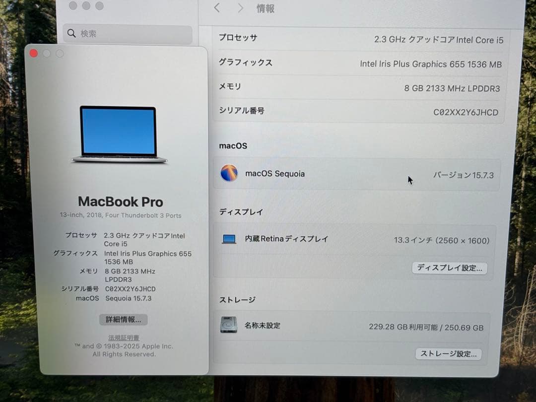 MacBook Pro 13インチ　A1989 256GB 2018