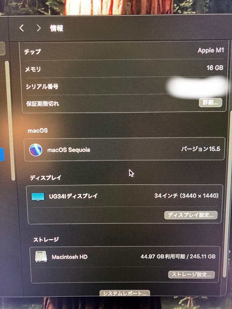 Macデスクトップ Apple Mac mini M1 16GB 256GB SSD