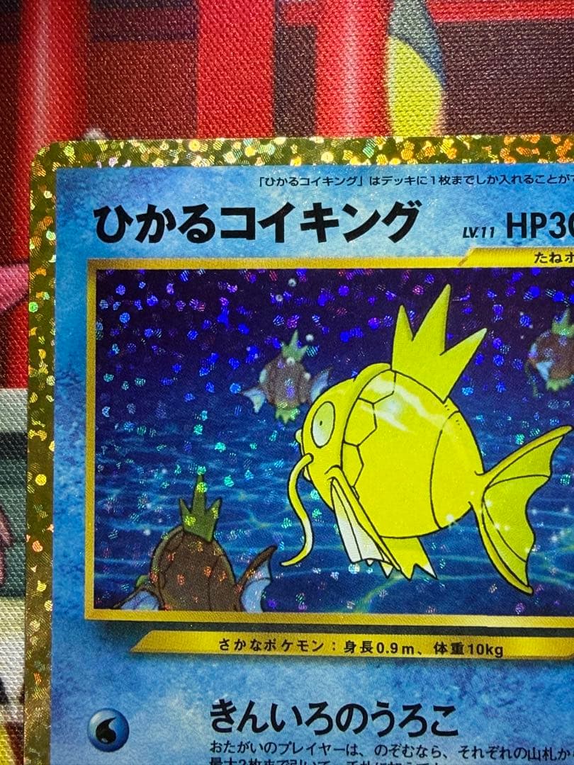 ひかるコイキング25th