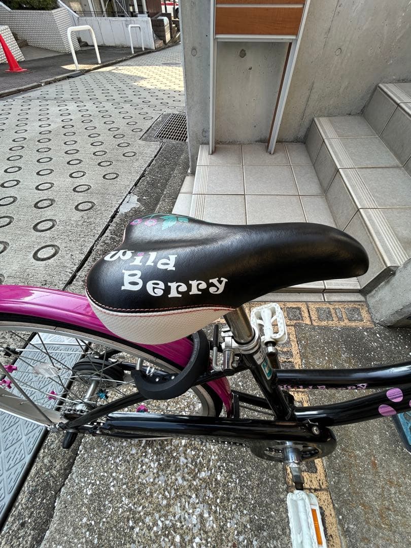 特価【直渡し】ブリヂストン ワイルドベリー ブラック 22インチ　ヘルメット付き