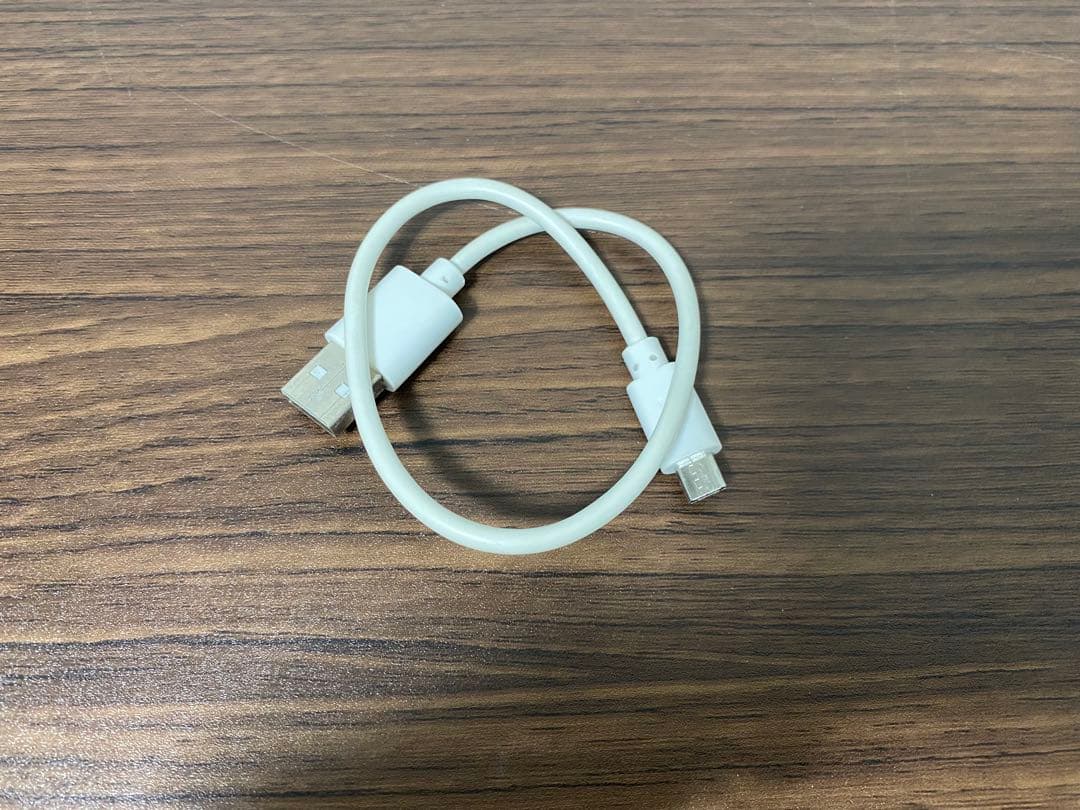 SONY ウォークマン　NW-WS623 4G