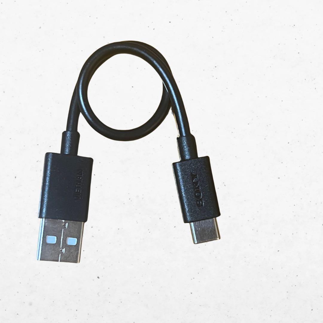 SONY WF-LS900N ブルー（マーブル）ノイキャンOK