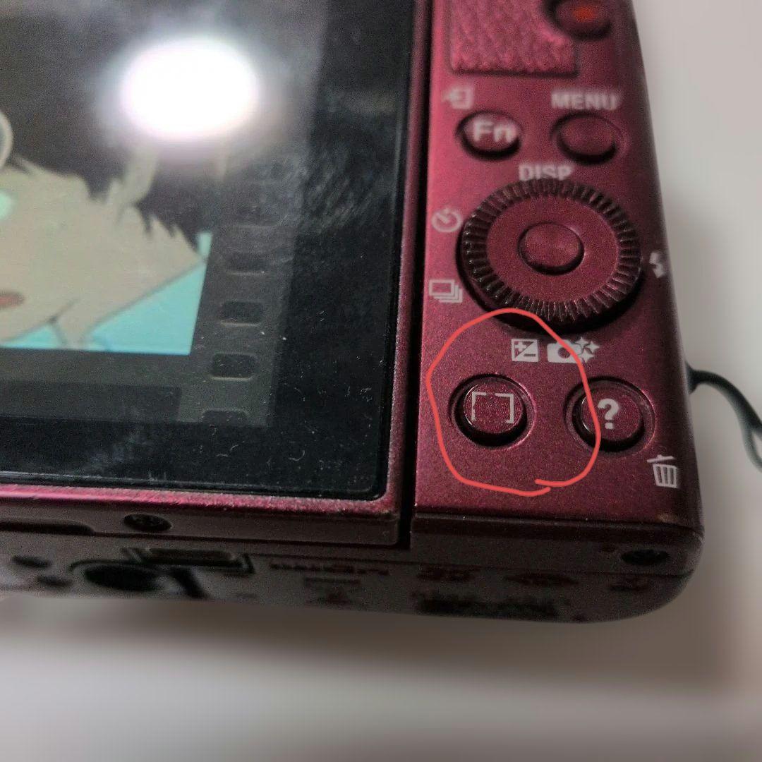 ソニー サイバーショットDSC-WX500