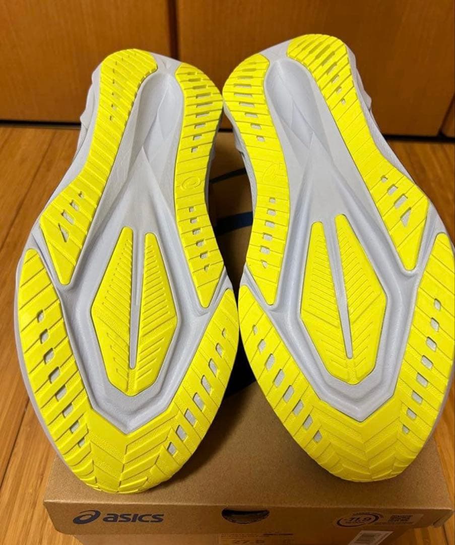 a*君様 【新品未使用】asics NOVABLAST5 ノヴァブラスト 28c