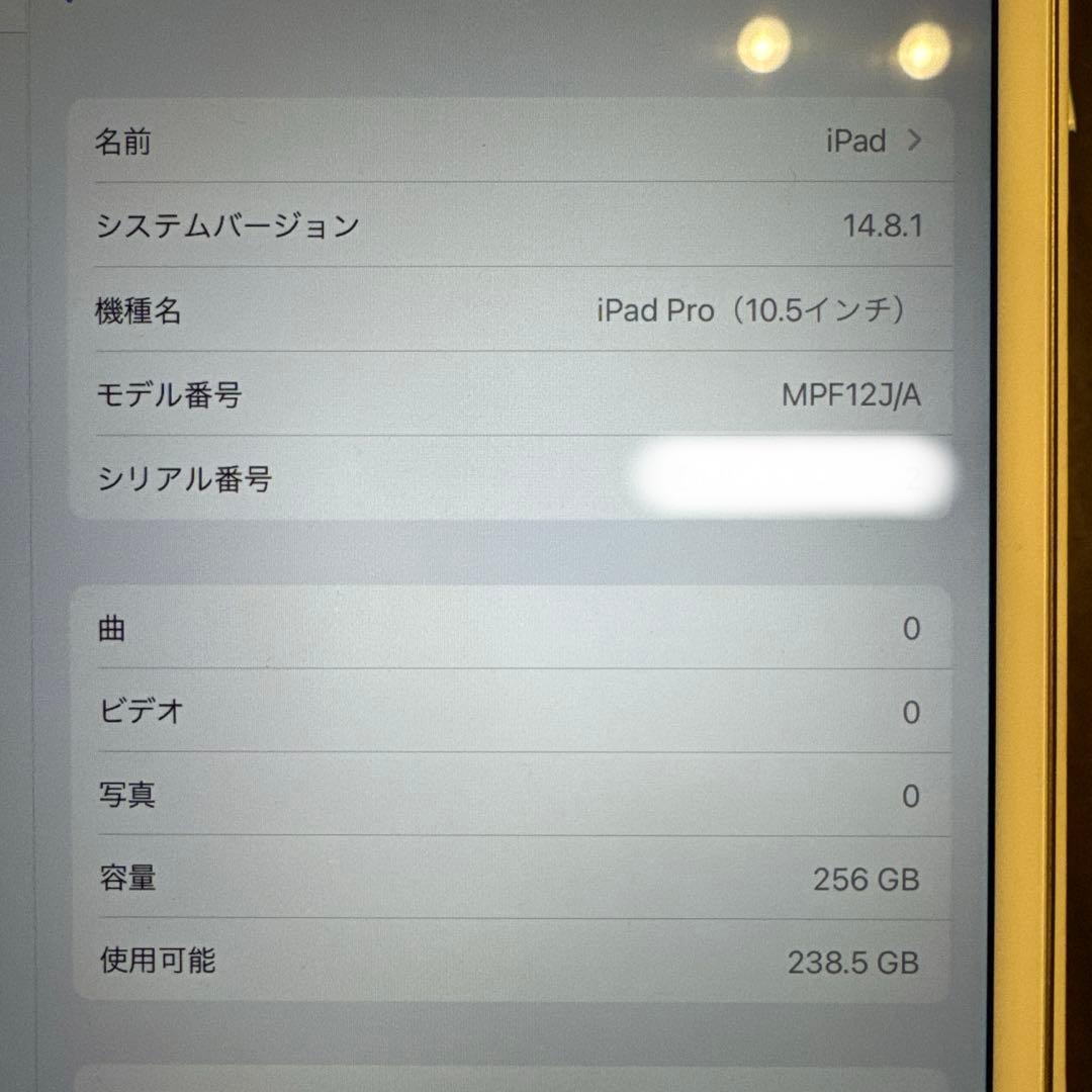 10.5インチiPad Pro 256GB(2017年製)