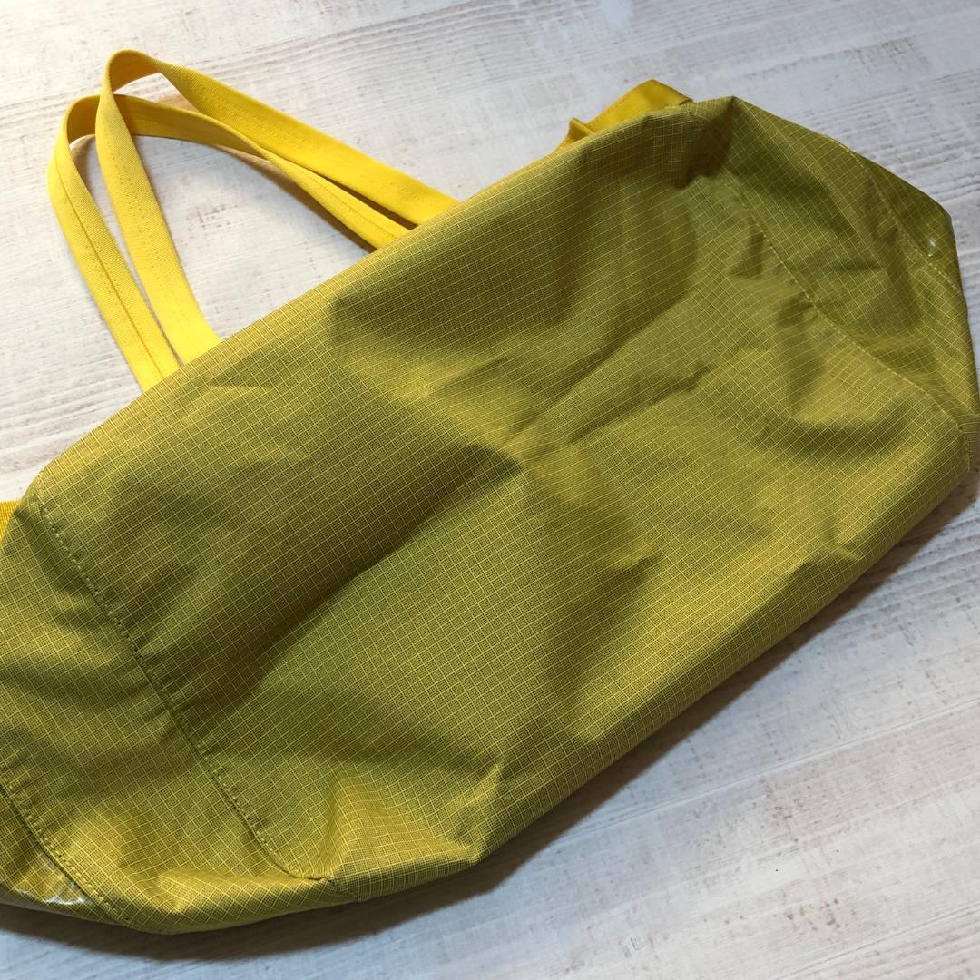 廃番・人気カラー SHNY❣️ パタゴニア ブラックホール・トート 25L