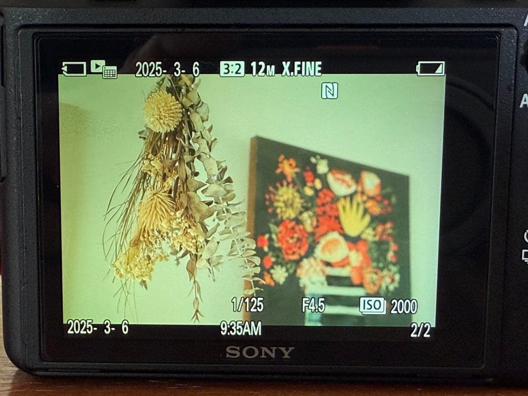 SONY α7sⅡ ミラーレス一眼カメラボディ【訳あり】