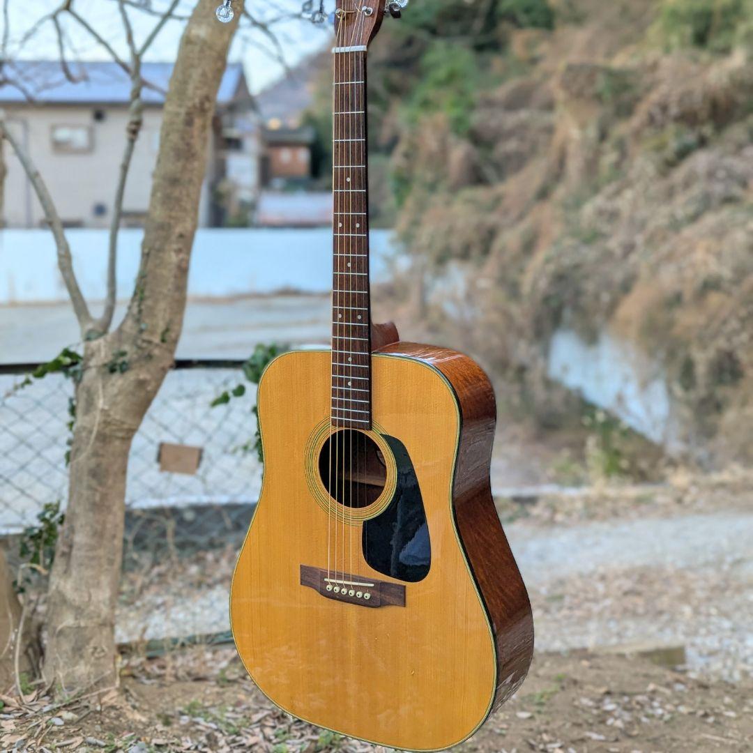 Morris MD-502 メンテ済 90年代 アコギ