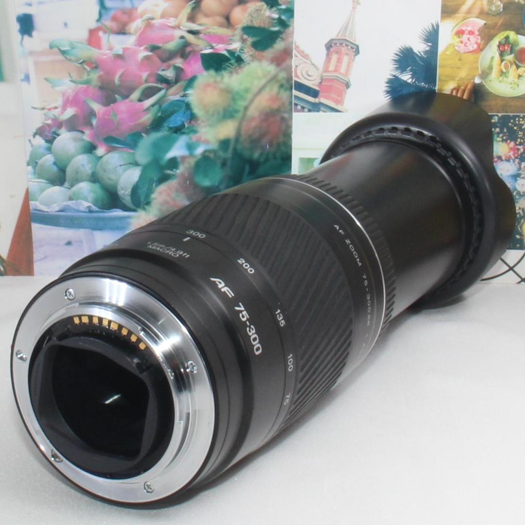 ❤️ミノルタ AF 75-300 mm ソニー aマウント用 超望遠レンズ❤️