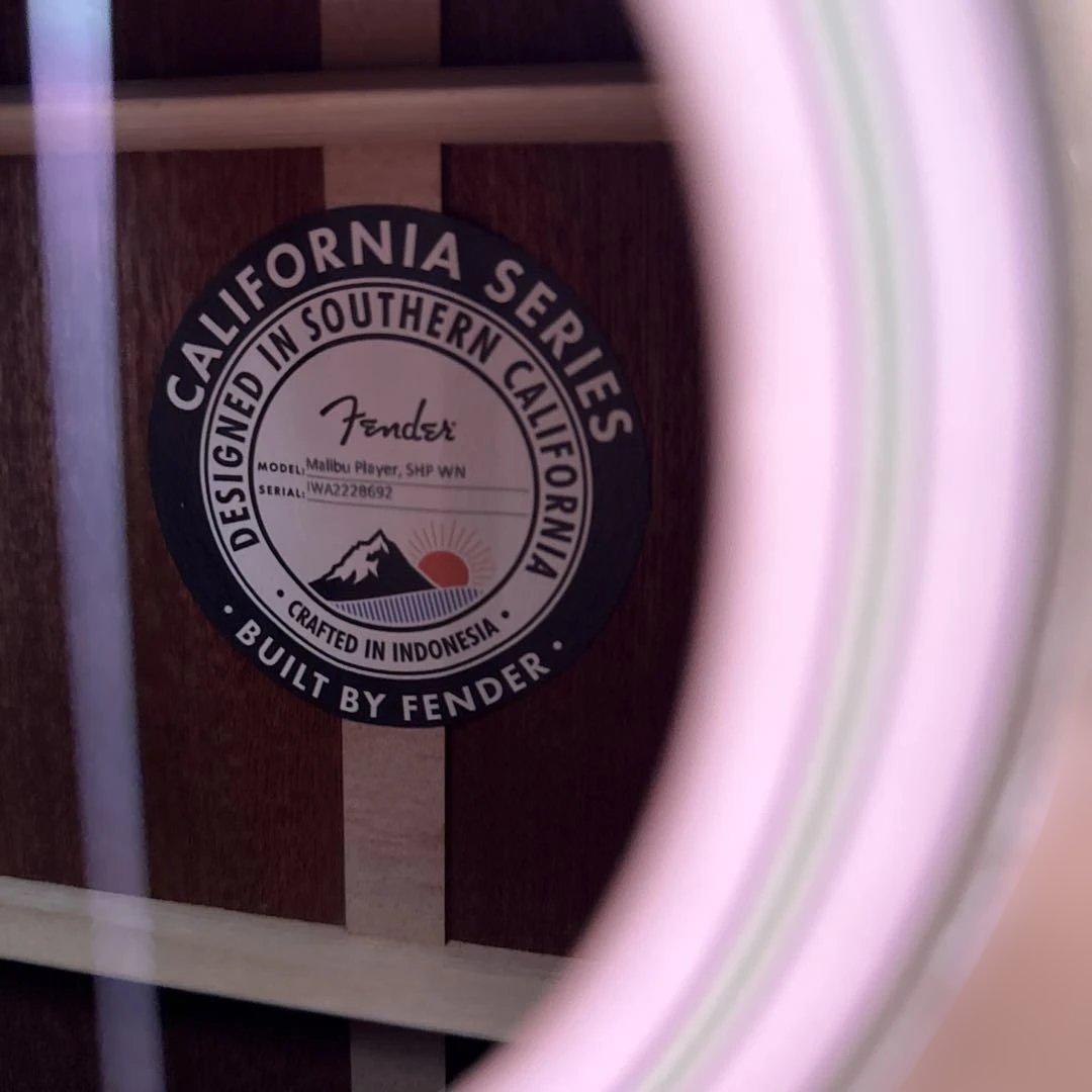 SI Fender California Series アコースティックギター