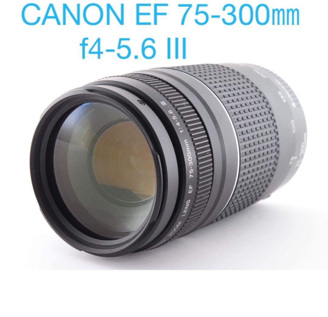 キャノン　望遠レンズ/CANON EF 75-300mm