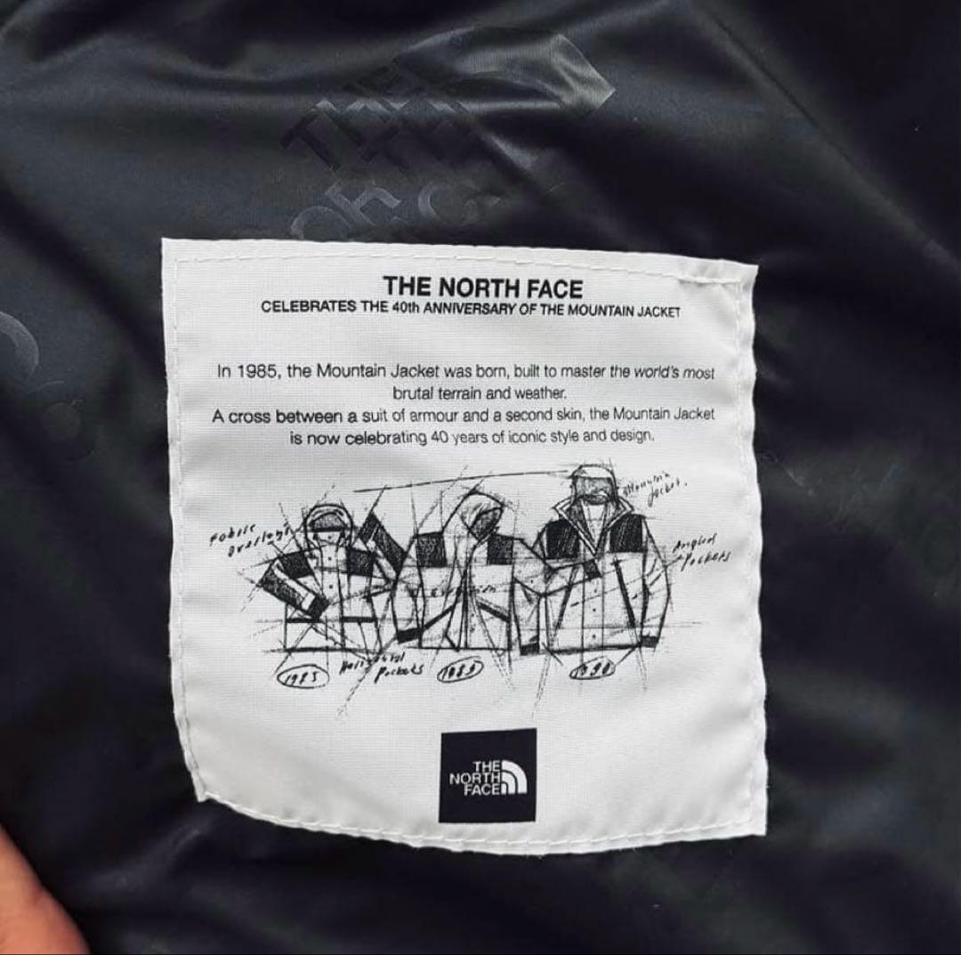 ノースフェイス mountain jacket USモデル L(日本XL)