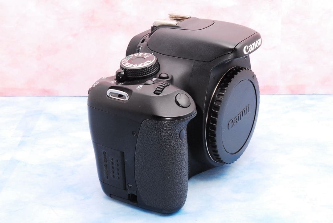 キャノン Kiss X5☆一眼レフカメラ☆カメラデビュー☆ブレずに簡単撮影