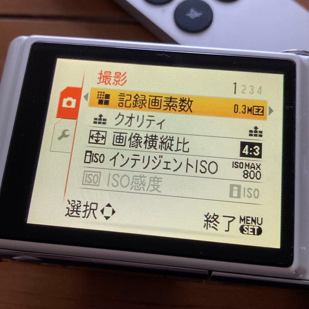 【作例あり】Panasonic LUMIX DMC-FX37 CCDセンサー