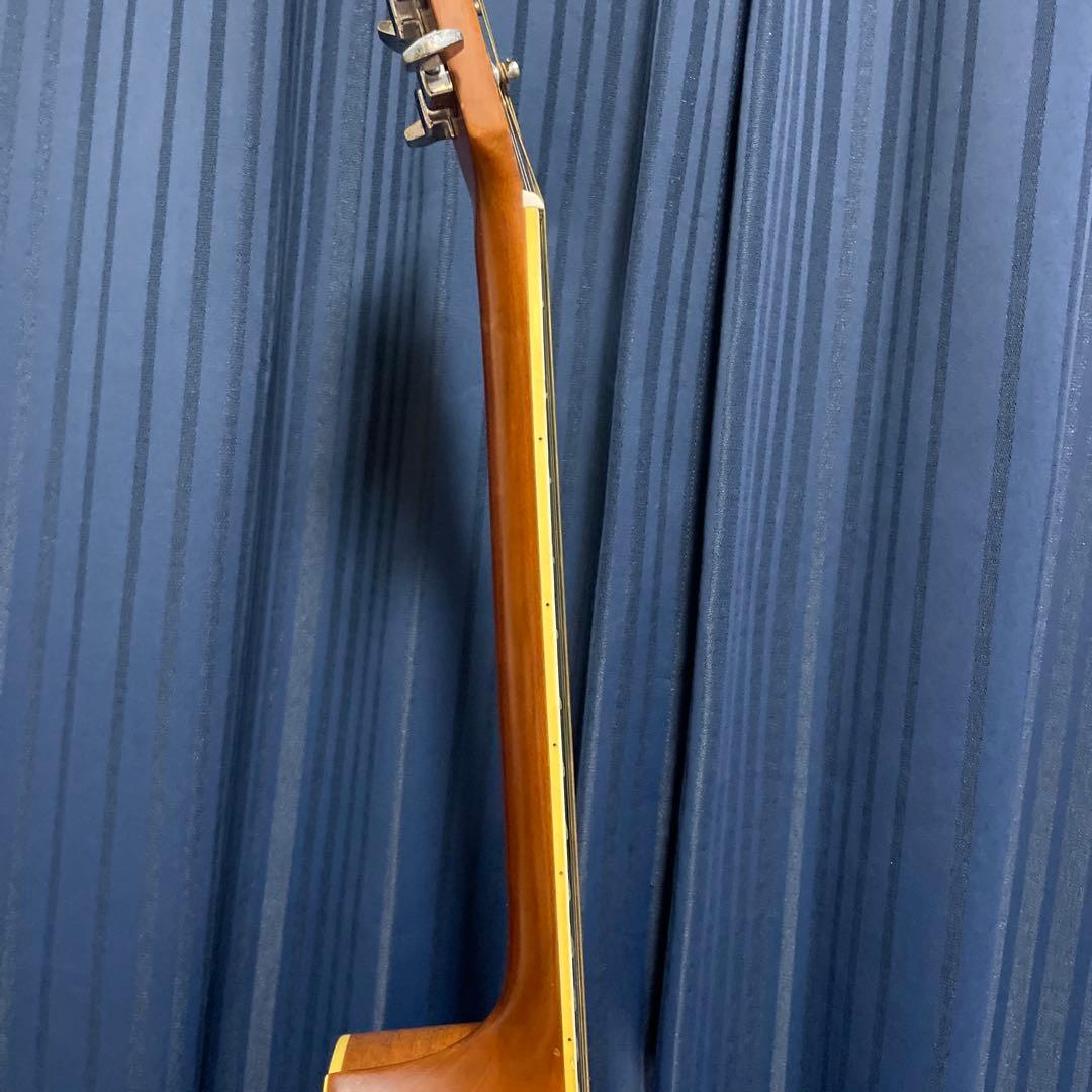 MORALES モラレス縦ロゴ アコースティックギター ソフトケース付き