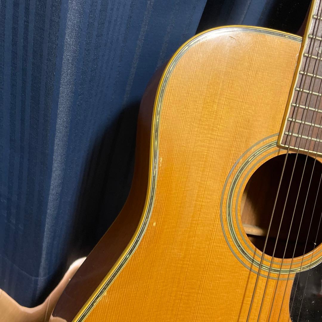 MORALES モラレス縦ロゴ アコースティックギター ソフトケース付き