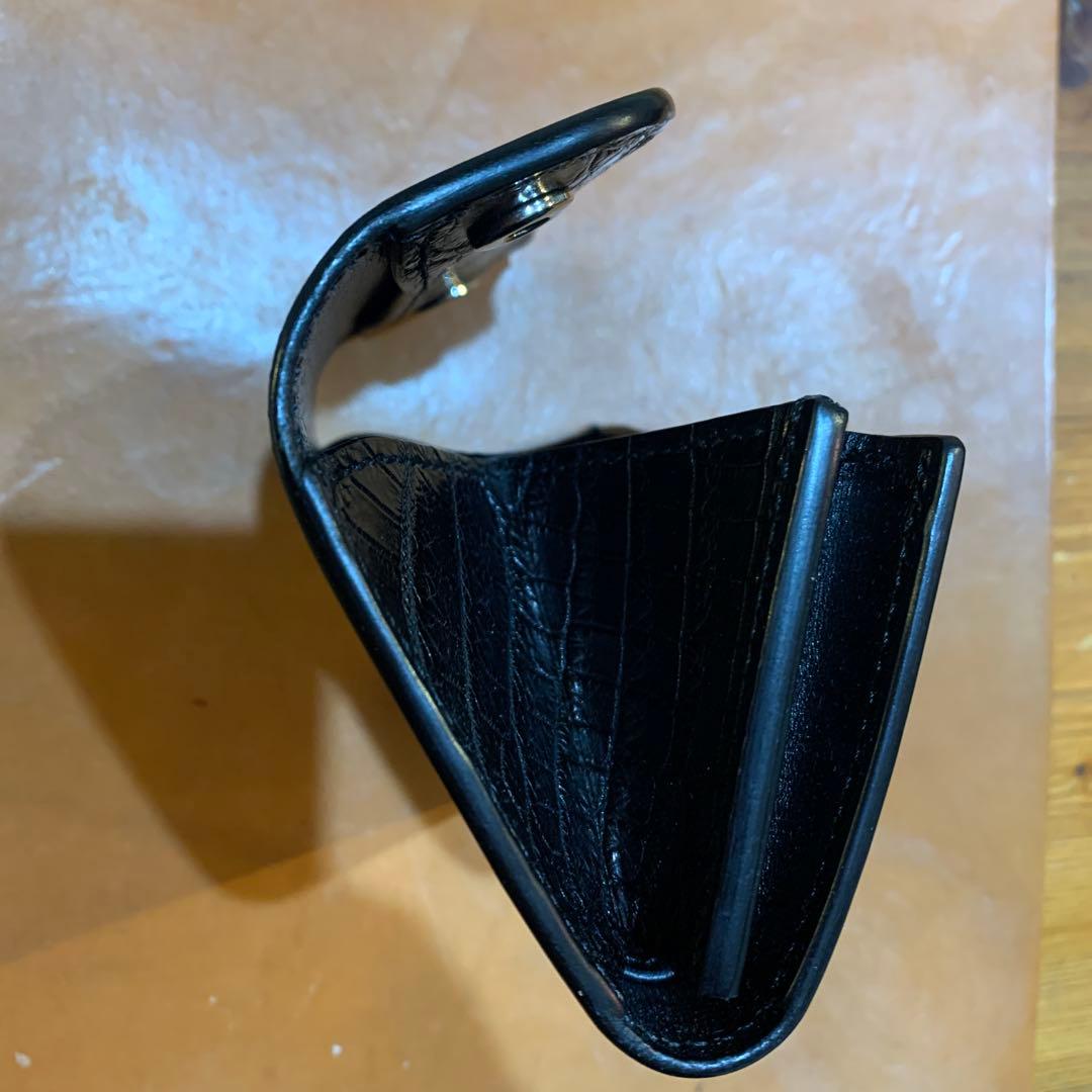 ワイルドスワンズ　ポント