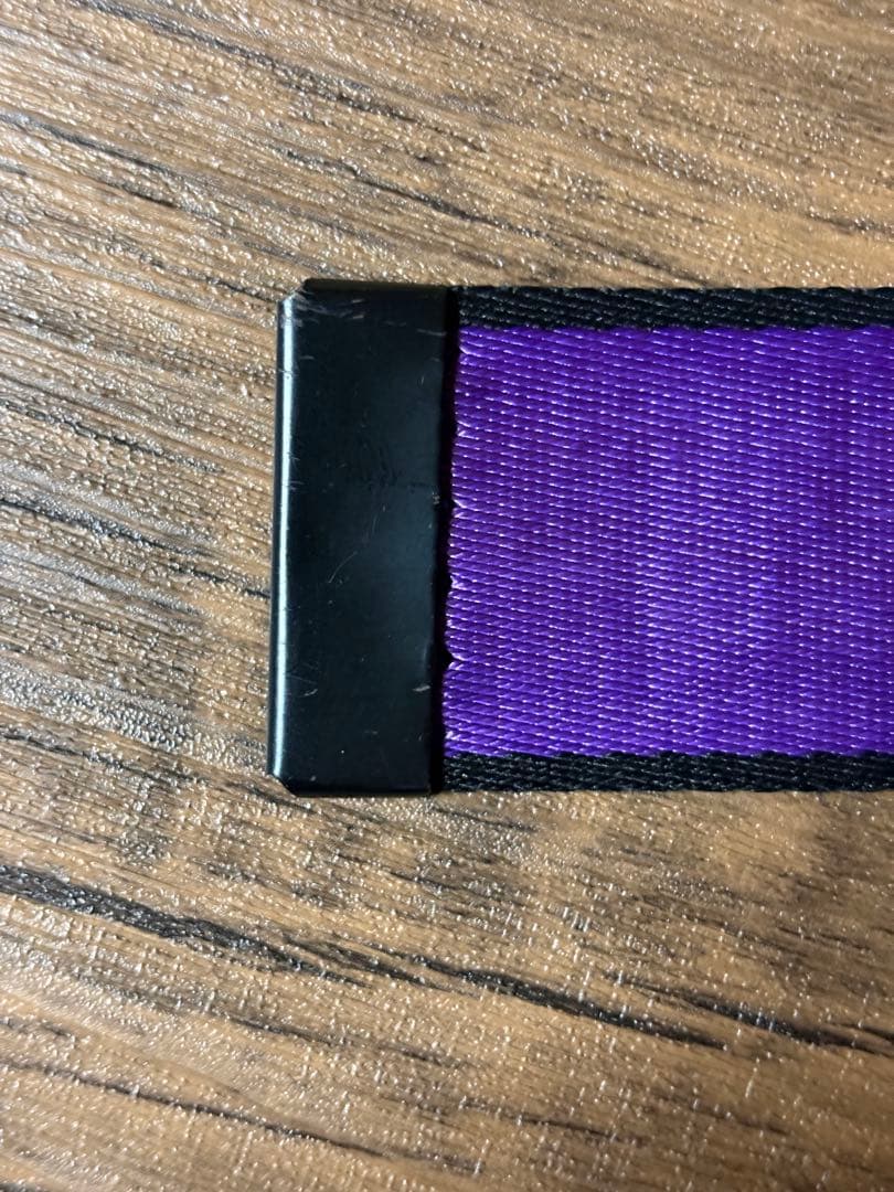 FR2 撫子　ベルト