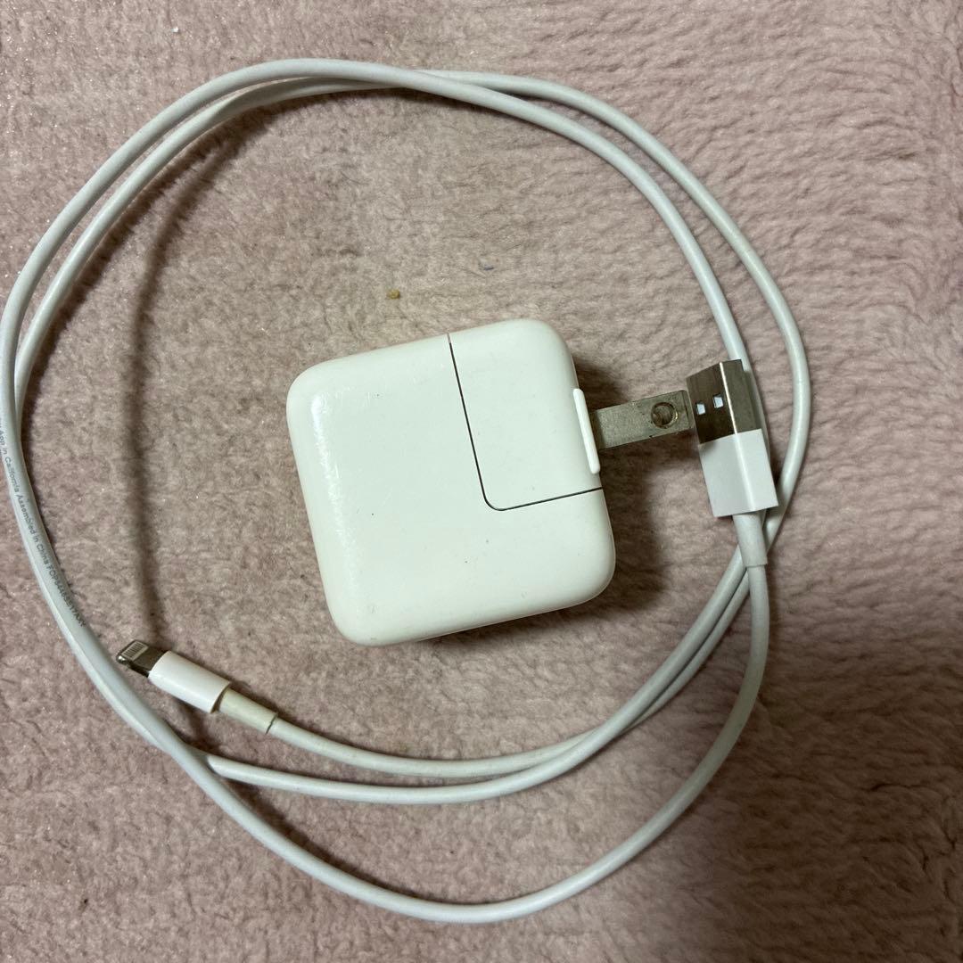 iPad本体 iPad mini 4 wifi+cellular