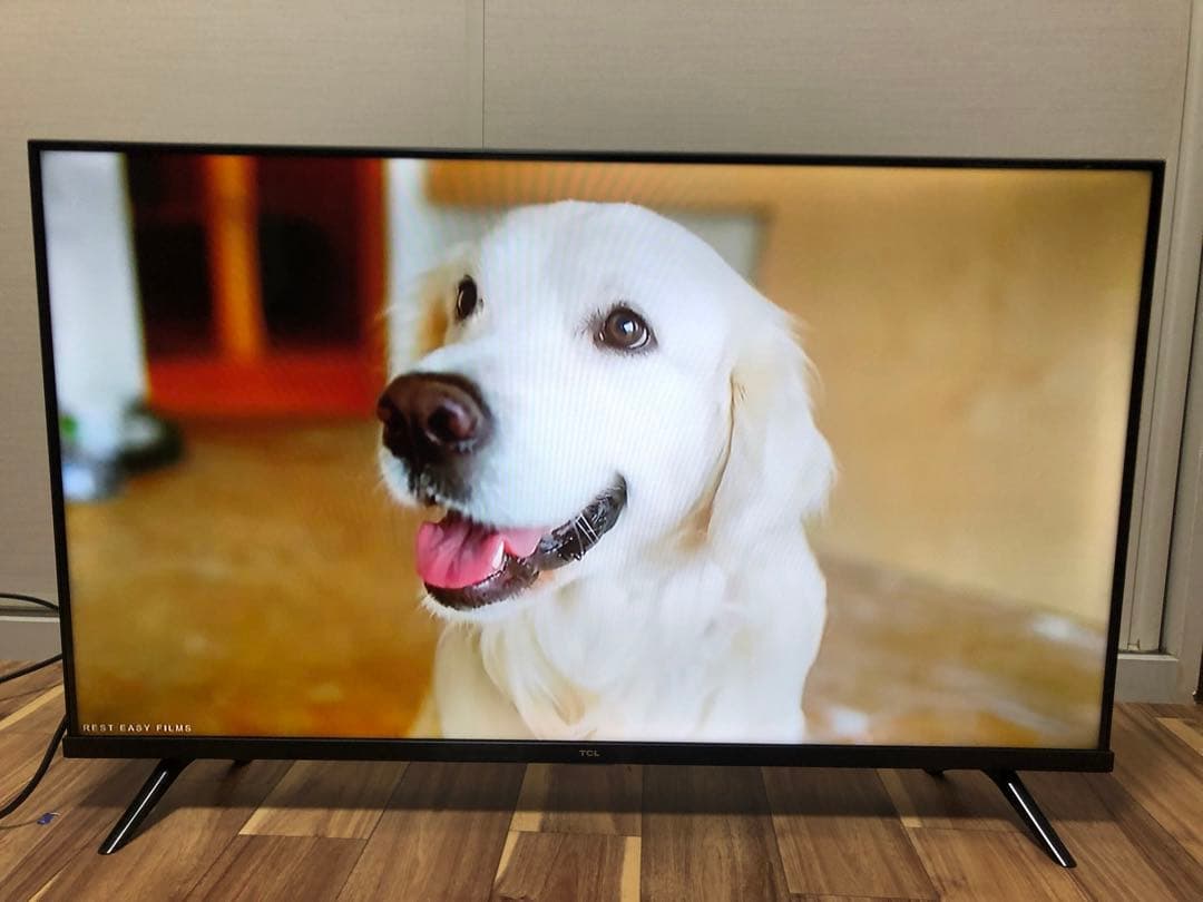 TCL 40V型 液晶テレビ Android TV 40S5200B 2021年