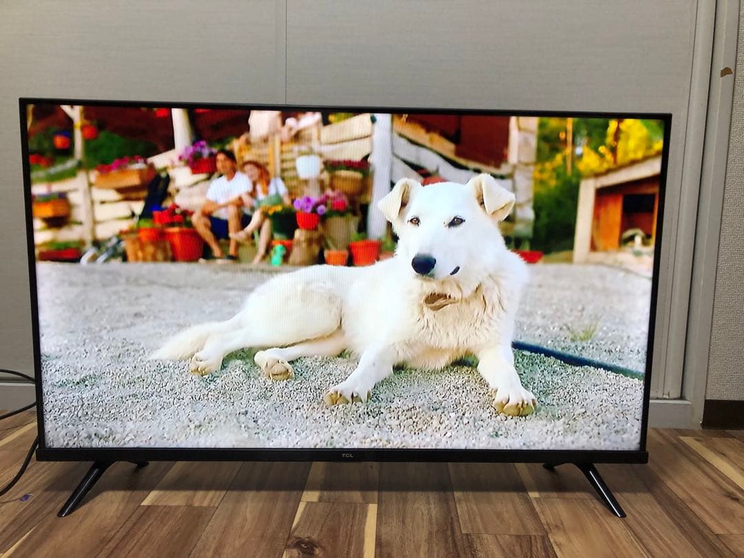 TCL 40V型 液晶テレビ Android TV 40S5200B 2021年