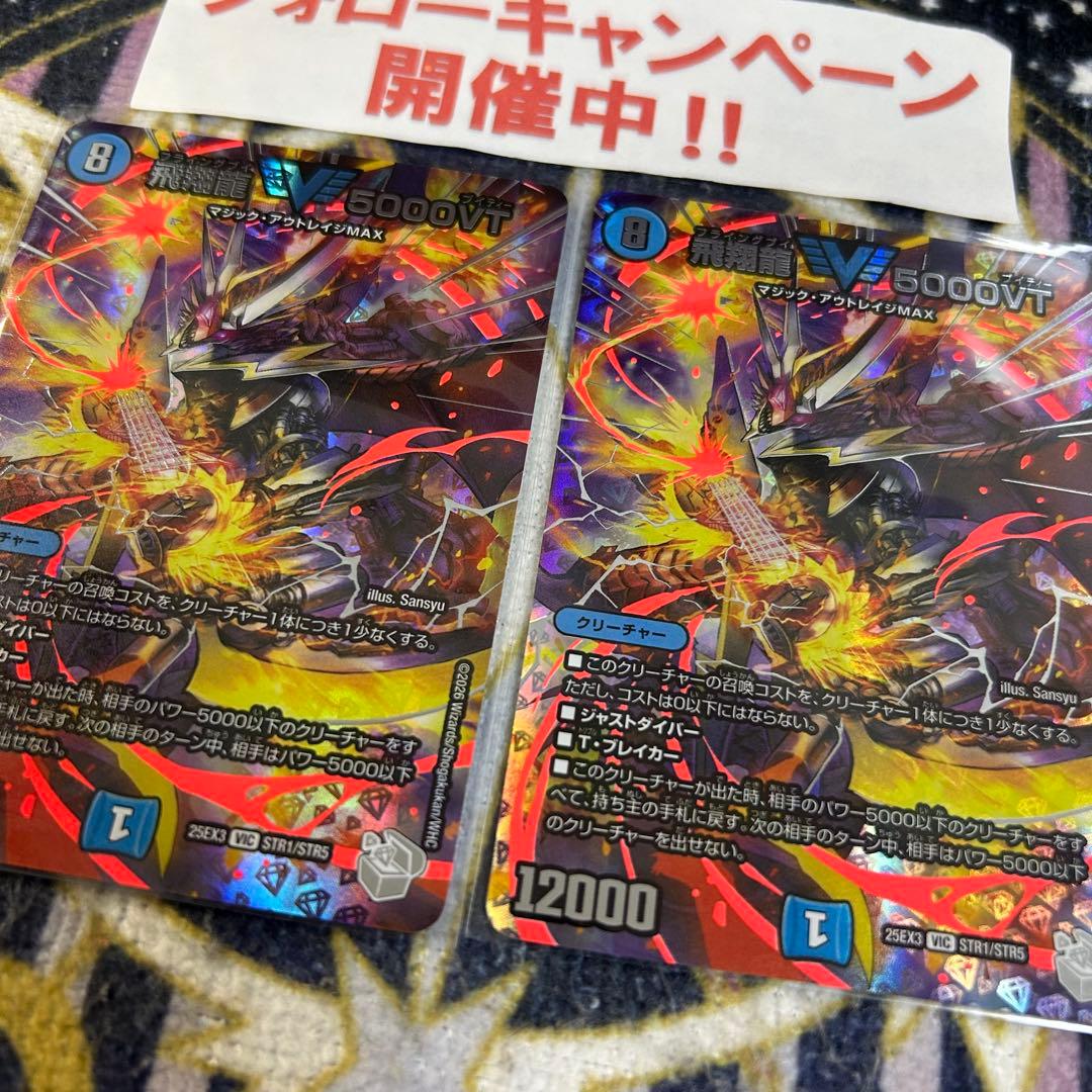 飛翔龍 5000VT 超銀トレジャー 2枚