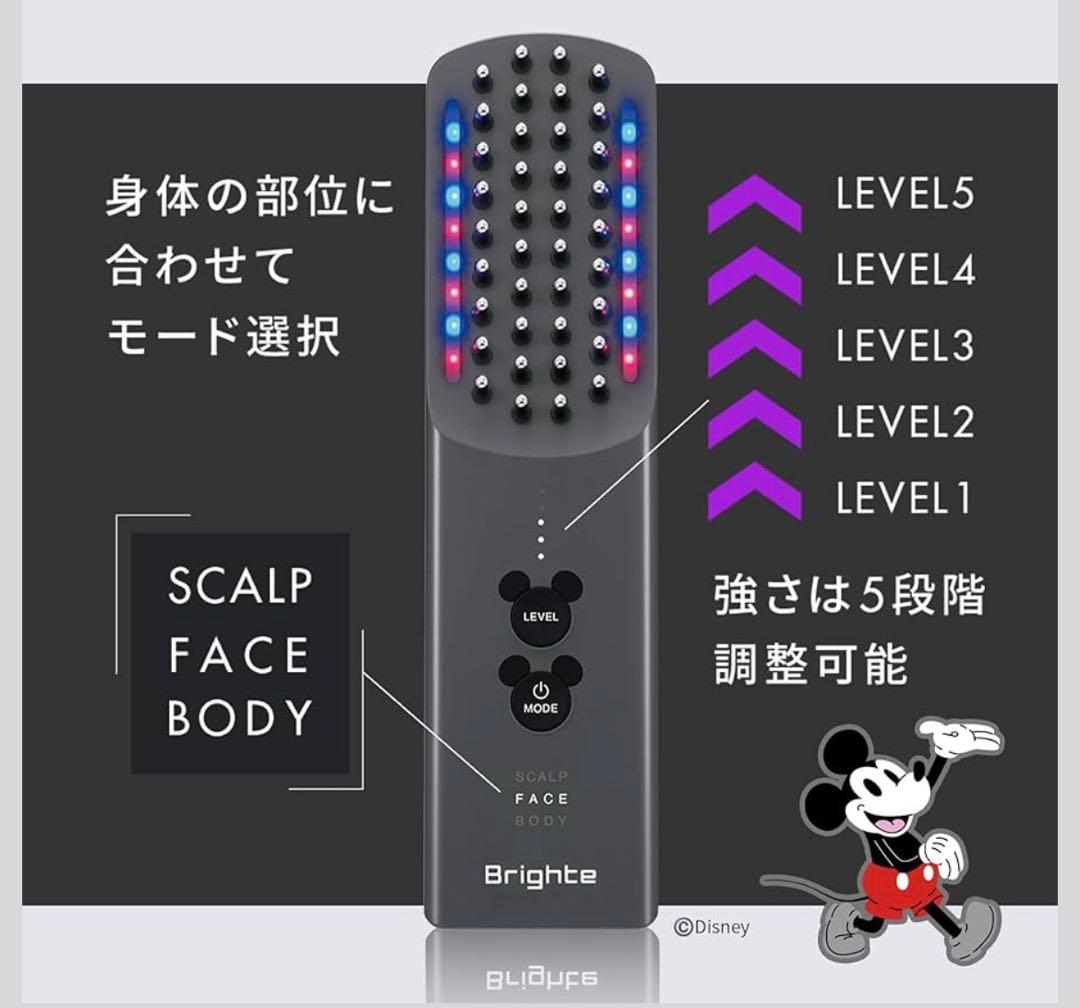 エレキブラシ　ミッキー限定デザイン