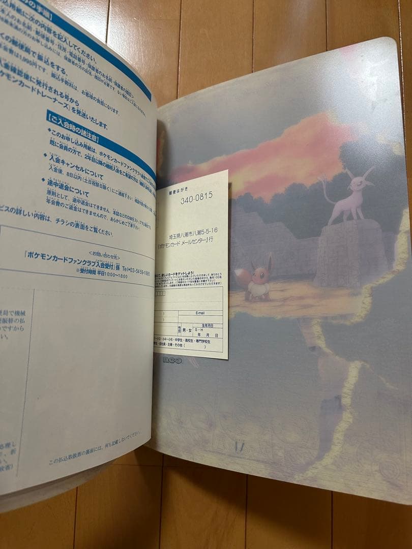 【ノイアー】ポケモンカードネオ neo◆プレミアムファイル2◆