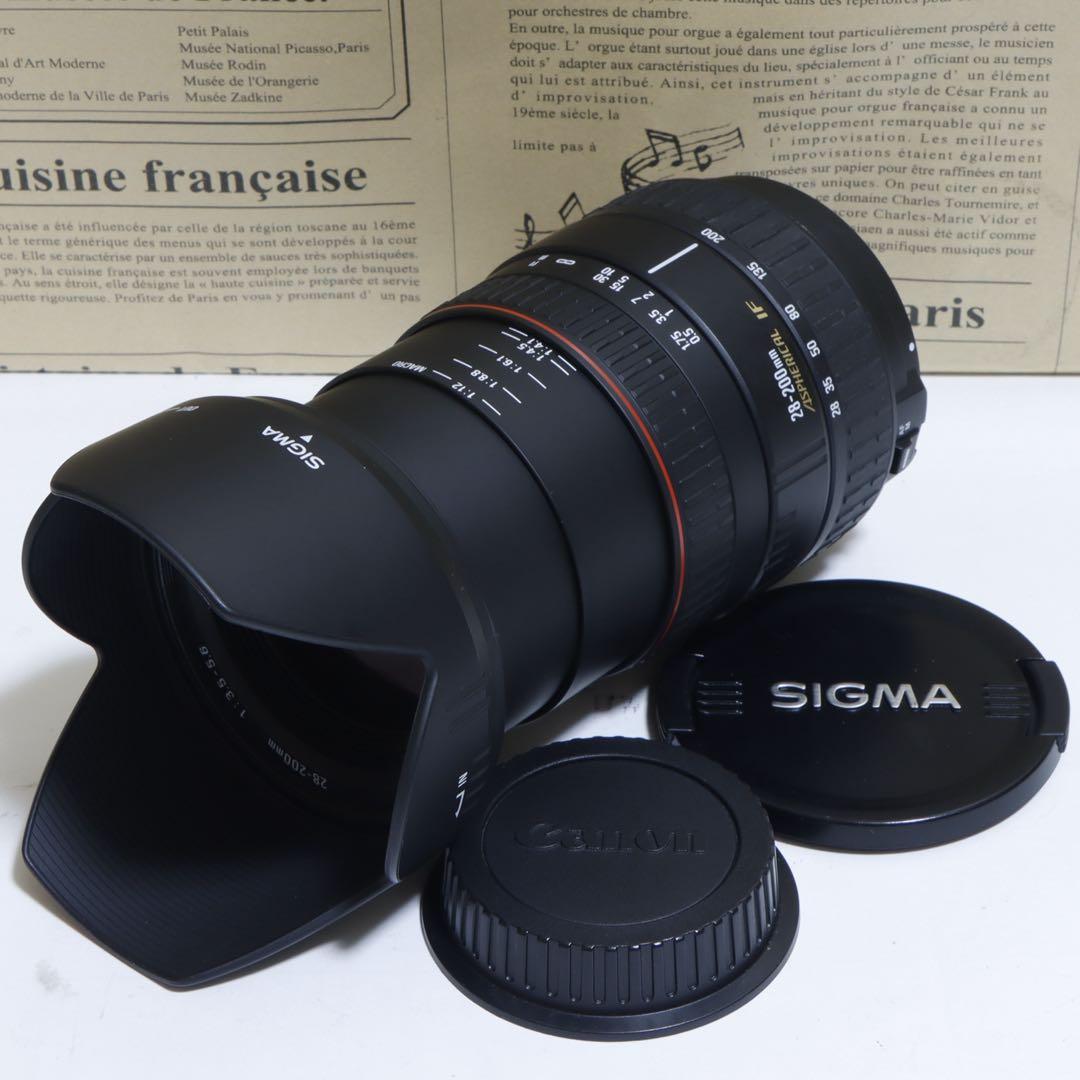 Ⱄ学生 ⭐︎一本で標準＋超望遠☆Sigma 28-200mm forキャノン