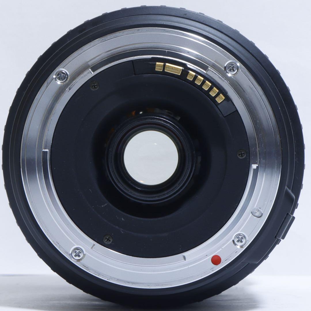 Ⱄ学生 ⭐︎一本で標準＋超望遠☆Sigma 28-200mm forキャノン