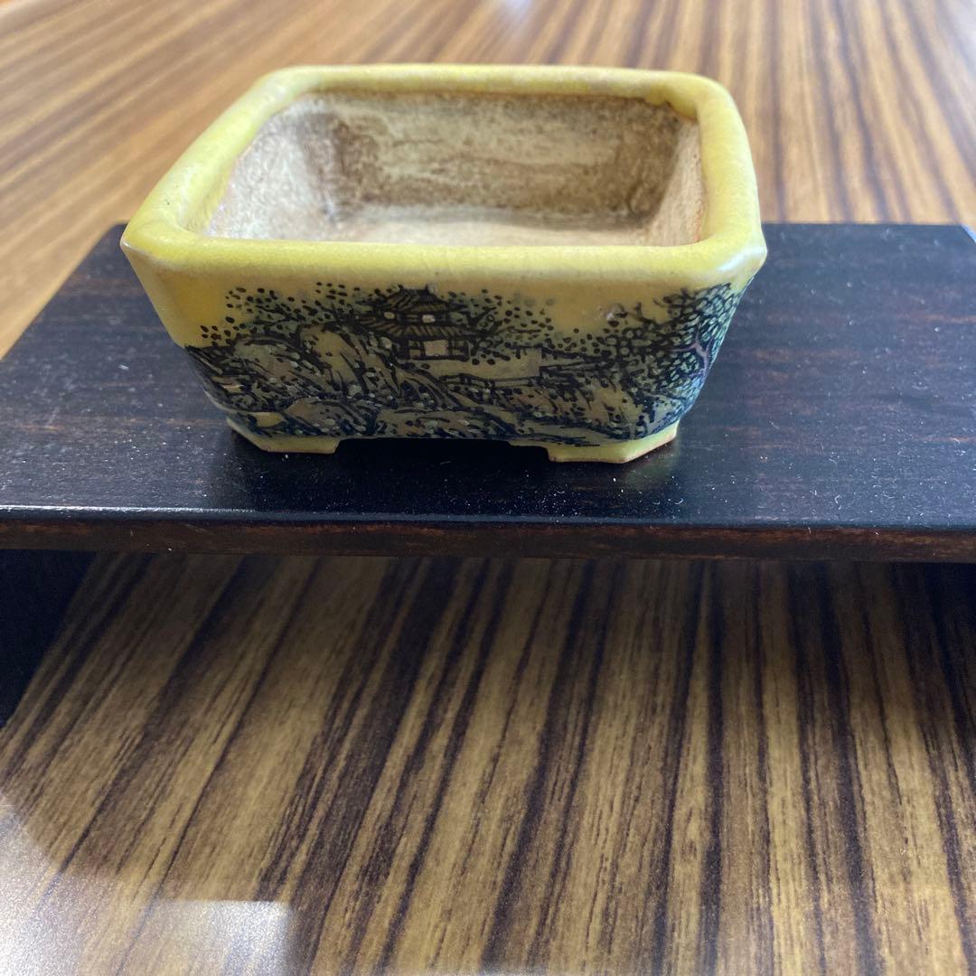 :シグナル: 佐野大助　鉢　黄色釉　:最終値下げ: