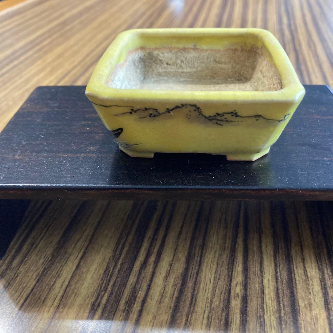 :シグナル: 佐野大助　鉢　黄色釉　:最終値下げ: