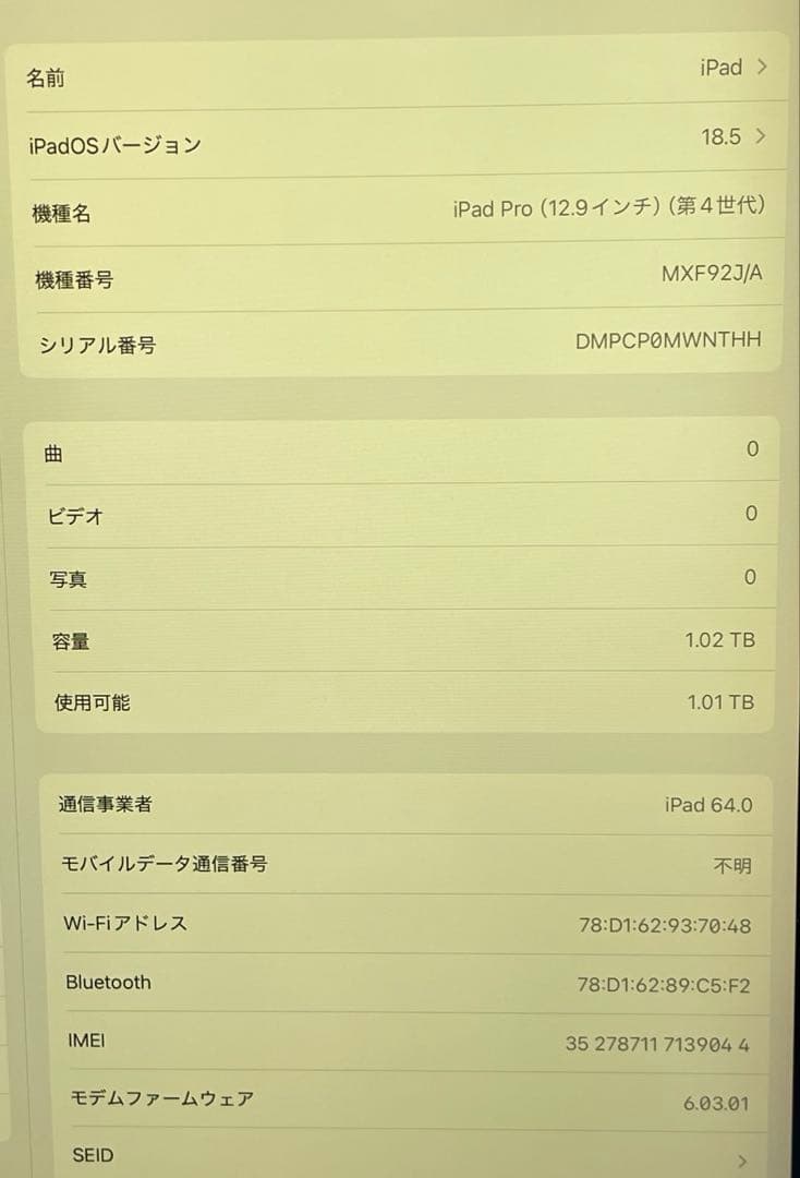 iPad Pro 12.9インチ 第4世代 1TB